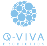 q viva logo